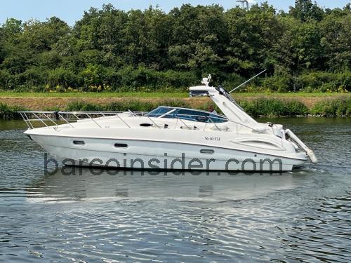 Sealine S38 opinión y ficha técnica